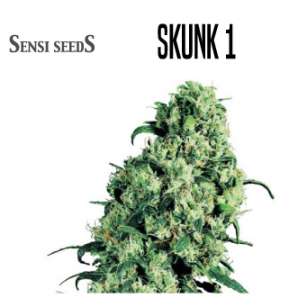 SKUNK  1