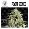 PEYOTE COOKIES