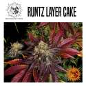 RUNTZ LAYER CAKE