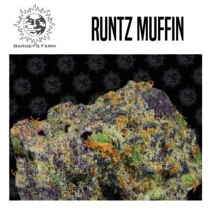 RUNTZ MUFFIN 