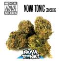 NOVA TONIC CBD 