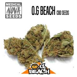 OG BEACH CBD