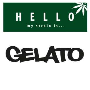 GELATO