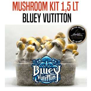 GROW KIT BLUEY VUITTON