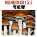 GROW KIT MEXICANA