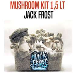 GROW KIT JACK FROST