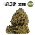 FLEUR DE CBD HARLEQUIN