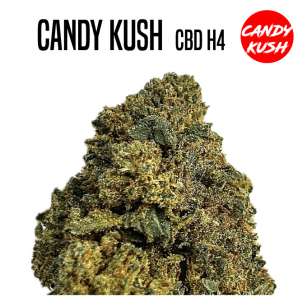 FLEUR DE CBD CANDY KUSH