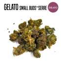 FLEUR DE CBD GELATO SMALL BUDS