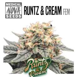 RUNTZ & CREAM 