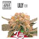 LILLY