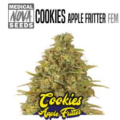 COOKIES APPLE FRITTER