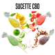 SUCETTE CBD LOLLIZEN X 1 PC