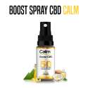 SPRAY BOOST CBD 50 % CALM +