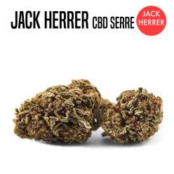 FLEUR DE CBD JACK HERRER 