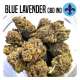 FLEUR DE CBD BLUE LAVANDE