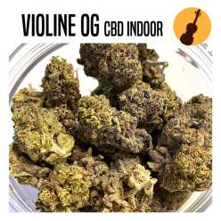 FLEUR DE CBD VIOLINE OG 