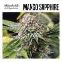 MANGO SAPPHIRE 