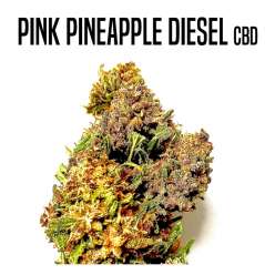 PINK PINEAPPLE DIESEL 