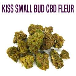 FLEUR DE CBD KISS