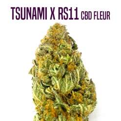 FLEUR DE CBD TSUNAMI X RS11